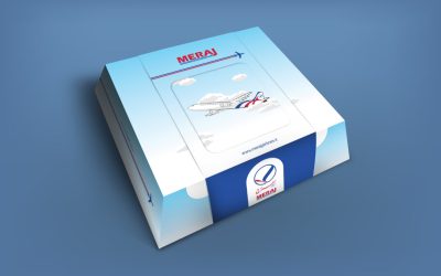 Meraj Aircraft Food Box